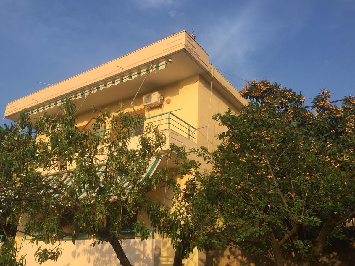 Pararse * Vlorë
